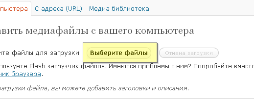 Кнопка выберите файлы