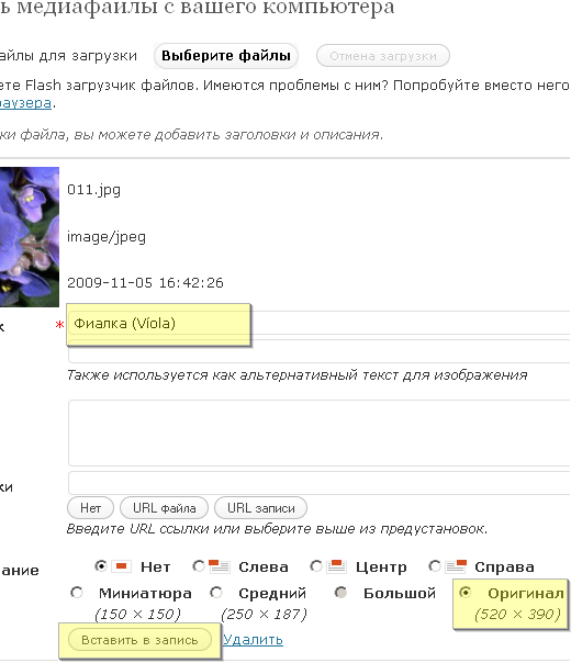Свойства картинки
