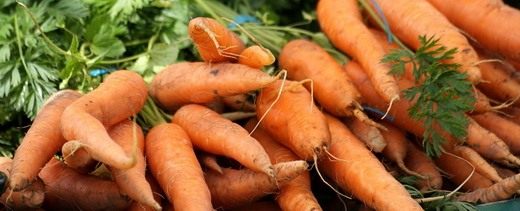 Морковь (Daucus)