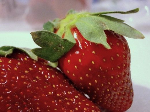 Земляника ананасная, садовая, крупноплодная