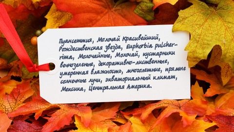 Добавление тегов