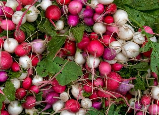 ����� (Garden radish)