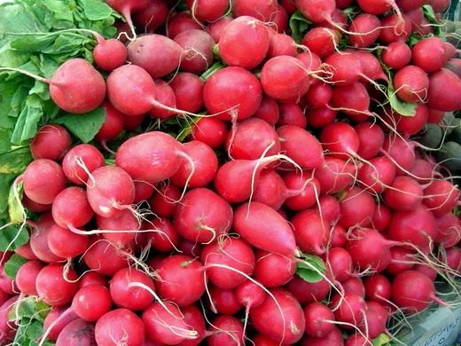 ����� (Garden radish)