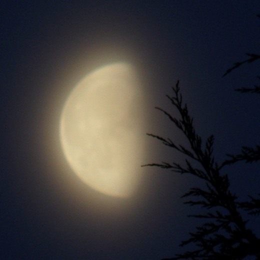 Луна (moon) Лунный календарь