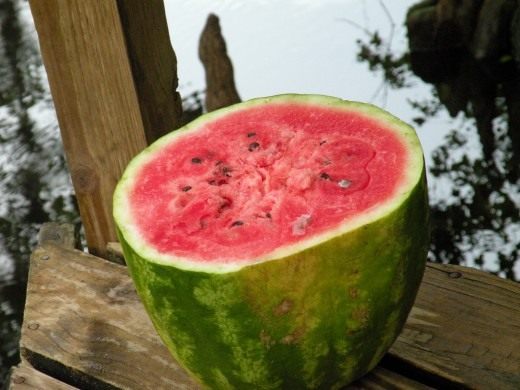Арбуз (Watermelon)