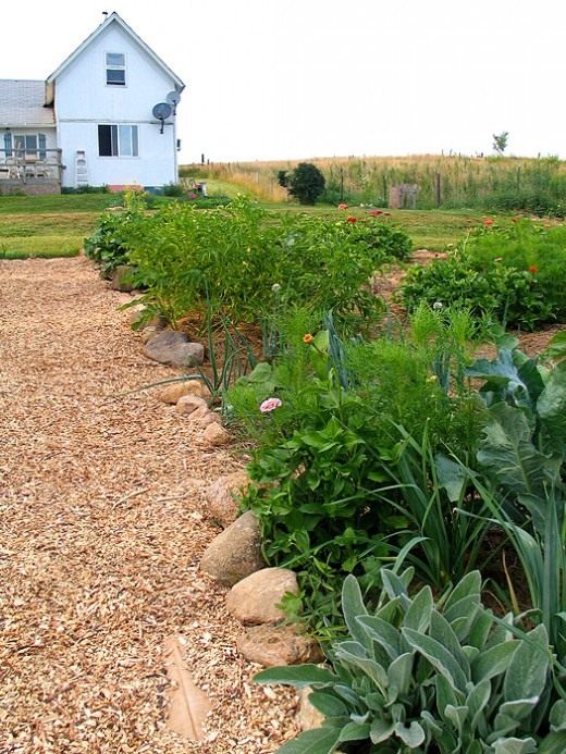 Садовая дорожка (Garden path)