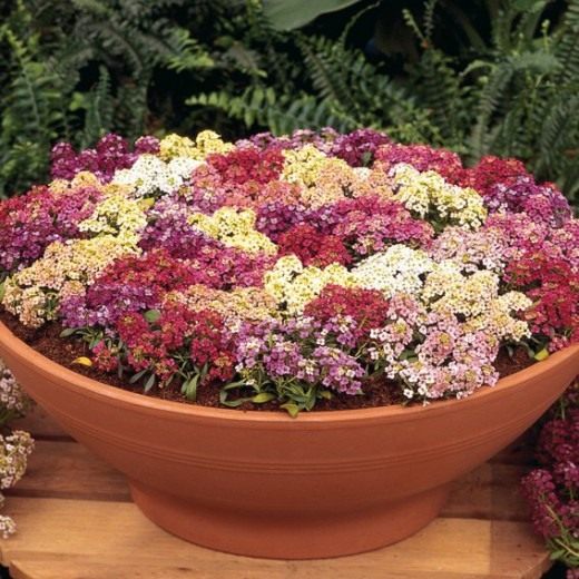 ������� "��������" mix