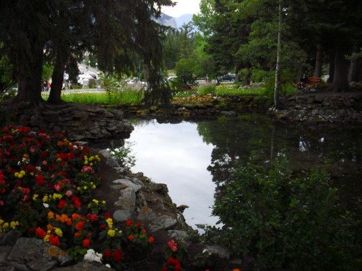 Цветник в тени (Flower garden in the shade)