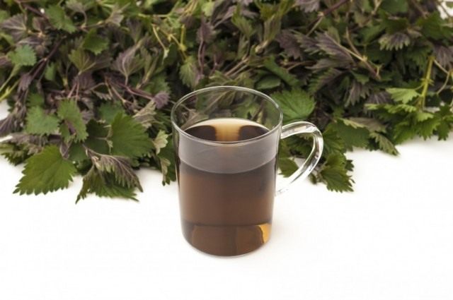 Сорняковая болтушка, или травяной чай для удобрения и подкормки растений