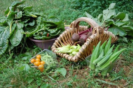 ������ (Harvest) � Eunice