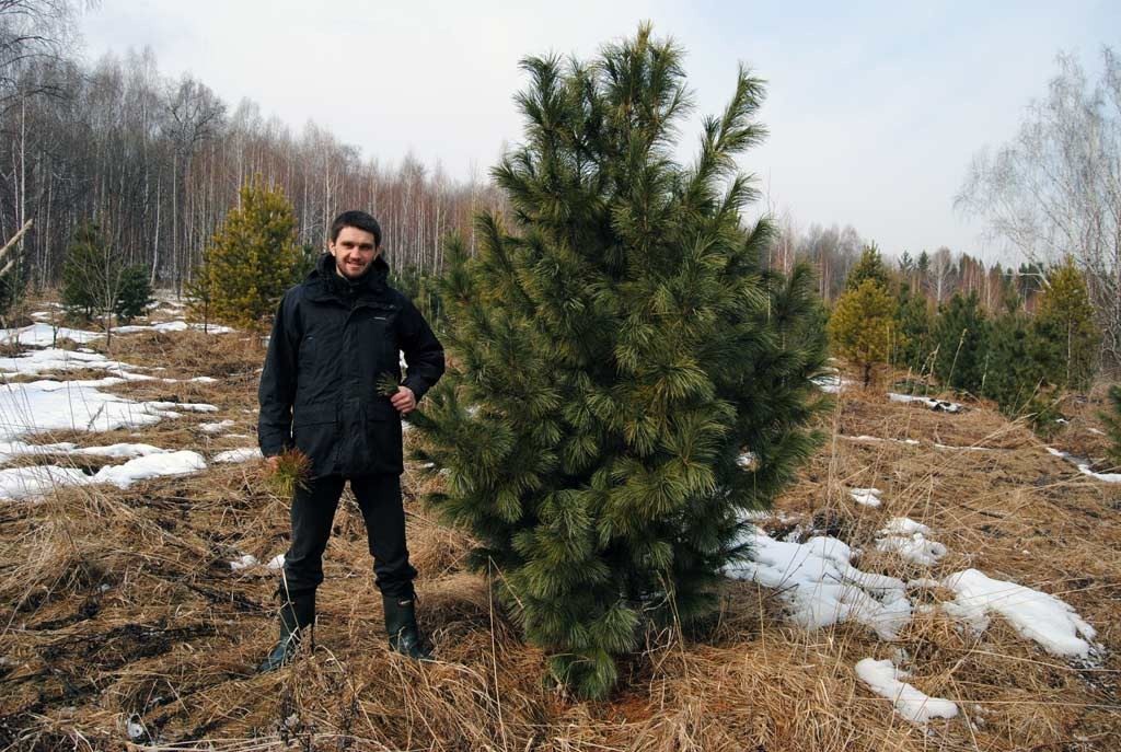 Я выкопал у себя на огороде метро: 8-летний Игорь построил подземку в селе под Киевом изображения Я выкопал у себя на огороде метро: 8-летний Игорь построил подземку в селе под Киевом изоражения