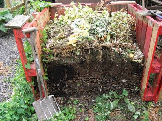 Компостная яма своими руками варианты Компостная яма своими руками варианты