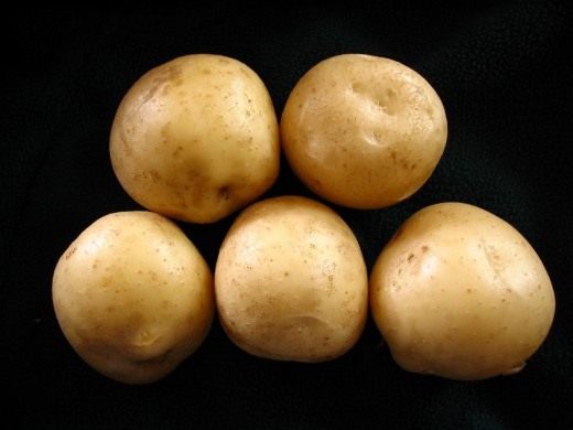 Получение высокого урожая отменного качества зависит от предназначения картофеля. Для каждого вида готового продукта выведены свои сорта. Семенной картофель