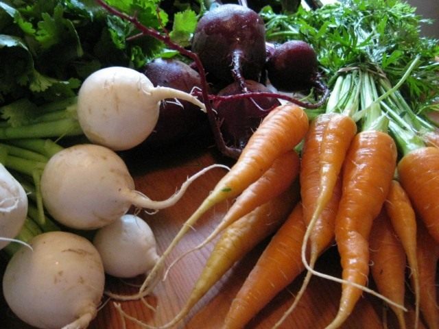 Урожай корнеплодов Урожай корнеплодов