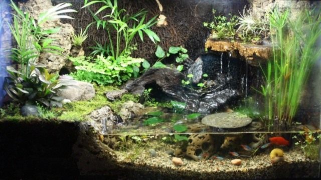 Как сделать своими руками палюдариум Как сделать своими руками палюдариум