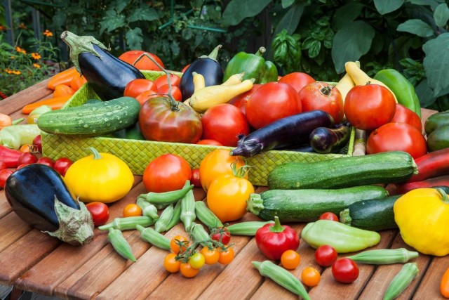 Урожай овощей с грядки