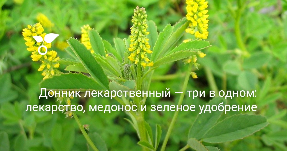 Удобрение хранение Удобрение хранение