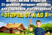 Огород от А до Я