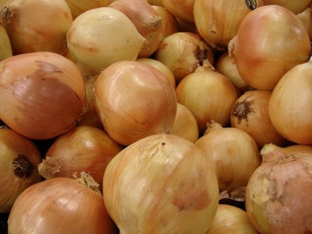 Лук репчатый Лук репчатый