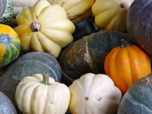 Тыква (Pumpkin) Тыква (Pumpkin)