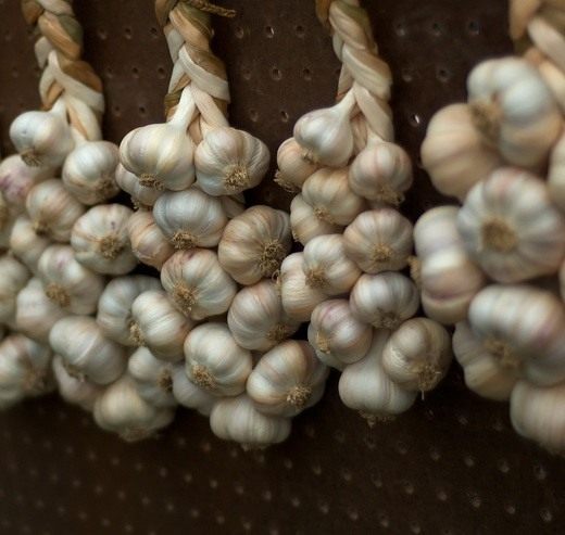 Чеснок (Garlic)