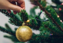 Как сохранить хвою и свежесть новогодней ёлки