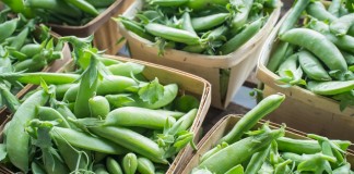 Горох (Pea)