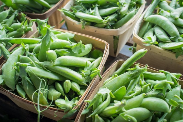 Горох (Pea) Горох (Pea)