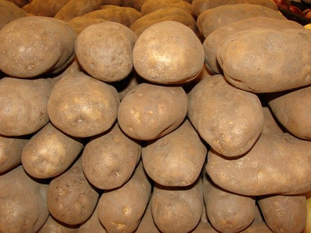 Картофель Картофель