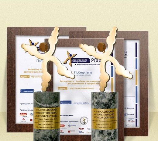 Наши награды и дипломы с Золотого сайта 2009