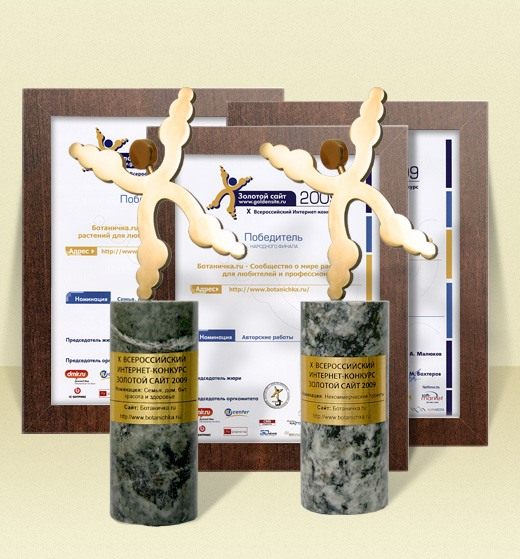 Наши награды и дипломы с Золотого сайта 2009