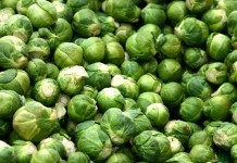 Брюссельская капуста (Brássica oleracea)