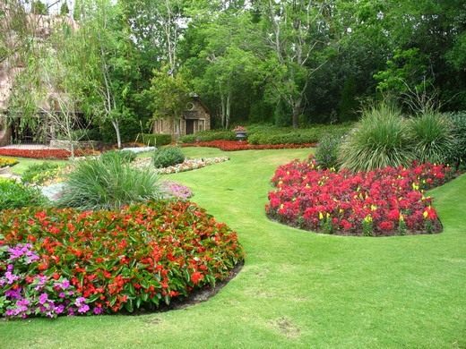 Цветник (Flowerbed) Цветник