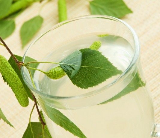 Стакан берёзового сока