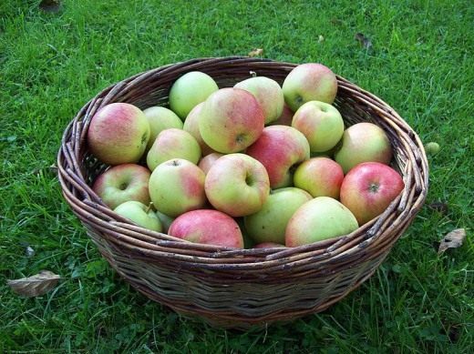 Яблоки (Apples) Яблоки