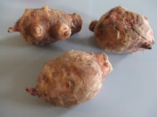 http://www.botanichka.ru/wp-content/uploads/2010/04/Jerusalem-artichoke1-520x390.jpg