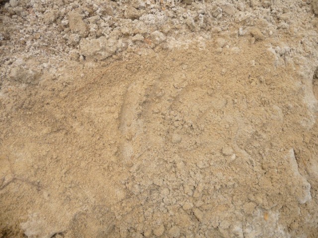 Супесчаная почва (Sandy loam) Супесчаная почва (Sandy loam)