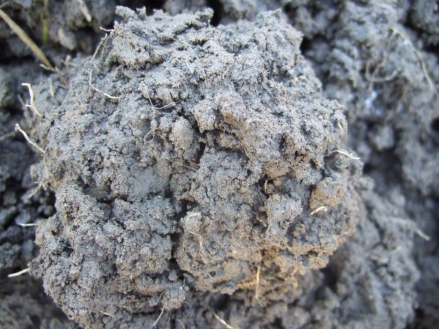Суглинок (Loam) Суглинок (Loam)