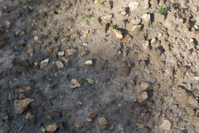 Почва (Soil) Почва (Soil)