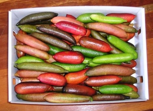 Австралийские пальчиковые лаймы (Finger Lime) Австралийские пальчиковые лаймы (Finger Lime)