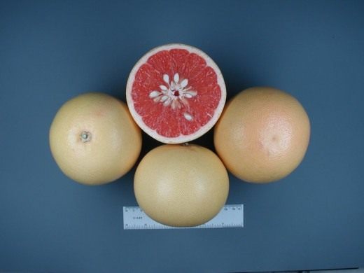 Грейпфрут Hudson (Hudson Grapefruit) Грейпфрут Hudson (Hudson Grapefruit)