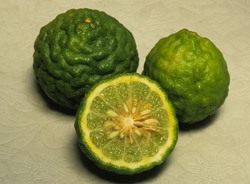 Кафир лайм (Kaffir lime) Кафир лайм (Kaffir lime)