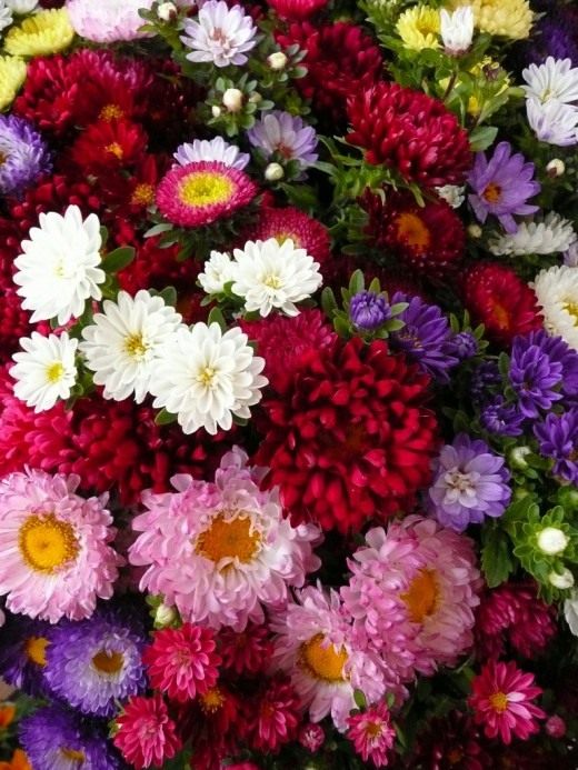 Букет из осенних астр Букет из осенних астр