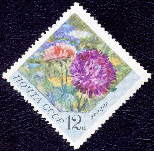 Почтовая марка СССР. 1970г. Астры Почтовая марка СССР. 1970г. Астры