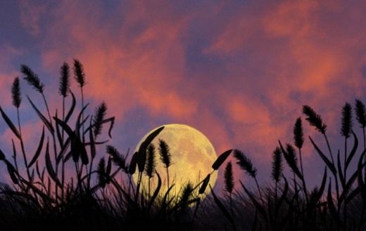 Луна (Moon) Луна