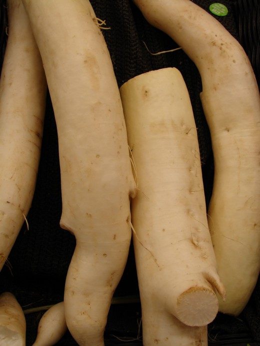 Редька (Raphanus)