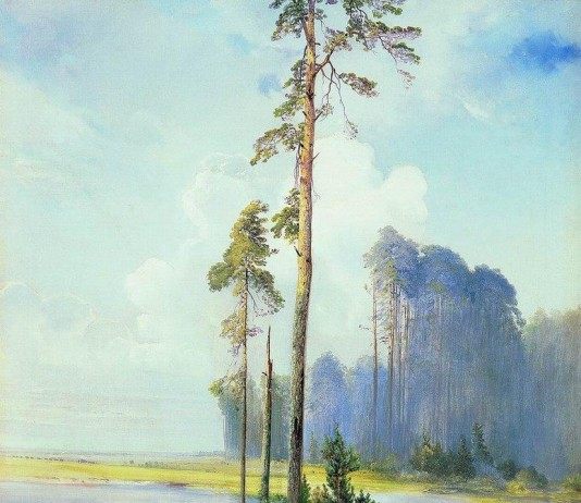 Саврасов А.К. Летний пейзаж. Сосны. 1880 г.