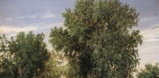 С. Н. Аммосов, Лесная поляна. 1869г.