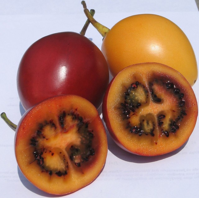 Спелые плоды Тамарилло (Cyphomandra betacea) в разрезе
