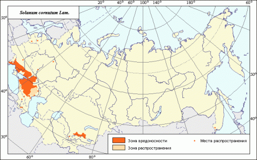 Ареал и зоны вредоносности Паслена колючего (Buffalo bur)
